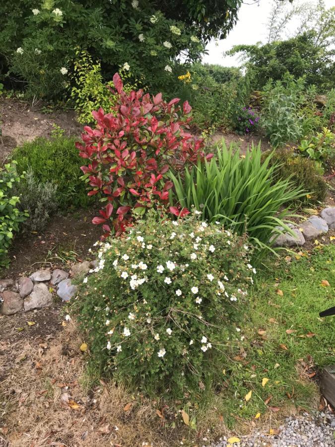 Pat'S Place Apartment Ballaghaderreen Luaran gambar